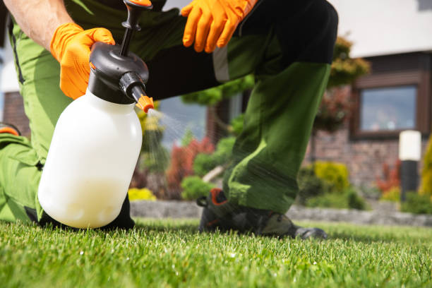 Best Affordable Pest Control Services  in Galls, IN