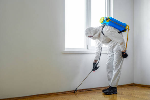 Best Pest Removal Services  in Galls, IN