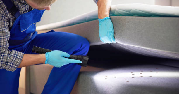 Best Rat Extermination Near Me  in Galls, IN