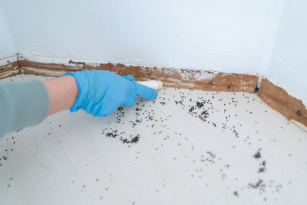 Professional Pest Control in Ingalls, IN