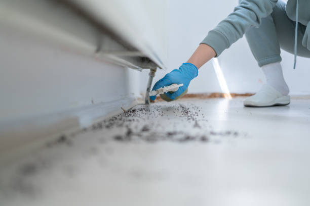 Best Wildlife Control Services  in Galls, IN